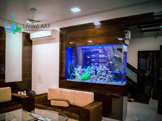 "Acrylic fish tank in Chennai"